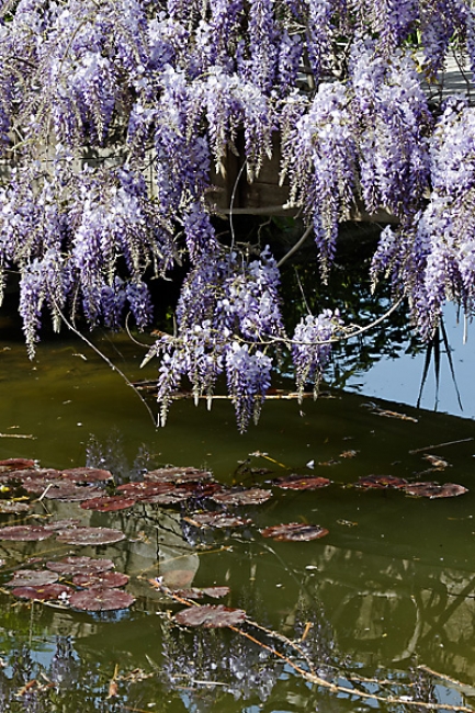 Jardin des Impressionnistes-035